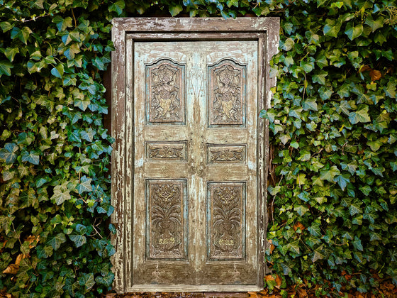 Antique Indian Carved Double Door with Frame Vintage Door 85x52